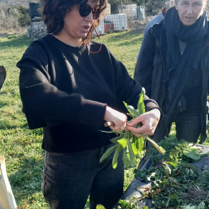 WhatsApp Slika 2025-02-21 u 19.13.23_18da11a6