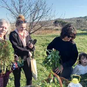 WhatsApp Slika 2025-02-21 u 19.13.24_e40803e3