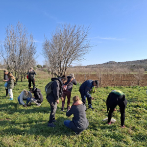 WhatsApp Slika 2025-02-21 u 20.04.47_870199ba