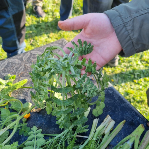 WhatsApp Slika 2025-02-21 u 20.58.52_96169fb9