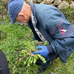 WhatsApp Slika 2025-02-22 u 15.17.10_7567dcb9