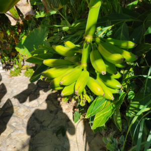 WhatsApp Slika 2025-08-15 u 18.32.35_2f3a4294