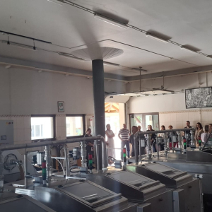 253b9969-44c9-4382-86ad-841037cc939f