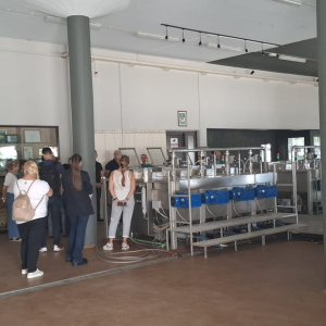 82fa74ff-1e42-4a7c-aee1-35cde2f1d4a3