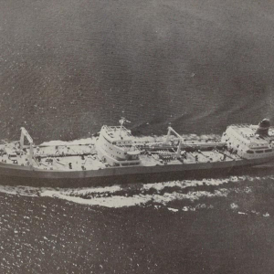 Facebook-Anton-Toni-Petricevic