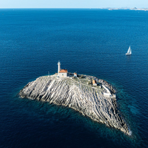 regata jabuka 2025 - 5