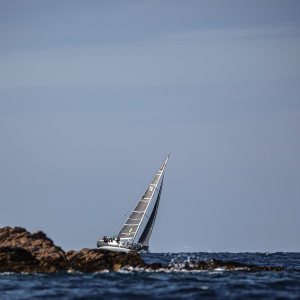 regata jabuka 2025 - 8