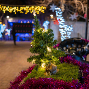 park tribunj (1 of 20)