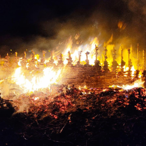 WhatsApp Image 2026s-01-01 at 00.30.03