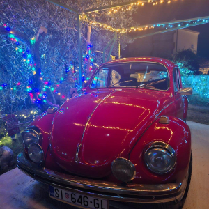 WhatsApp Image 2026-01-02g at 16.51.20