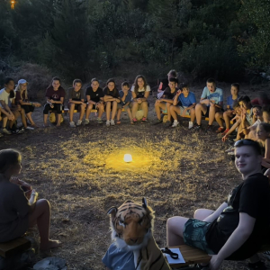 0-02-05-ab8f0317e7ef0757843fb137e7160a01a4c88560e0971a39072ae6178680487c_83affdf6905f3042