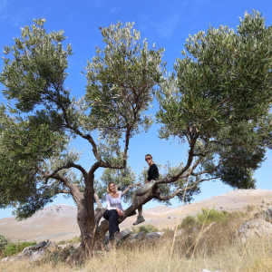 WhatsApp Image 2026-01-22 at 15.43.50 (1)