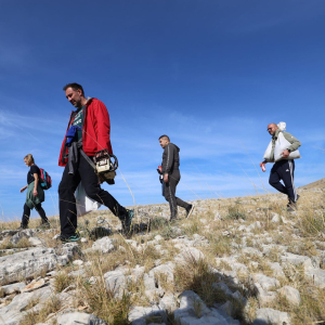 WhatsApp Image 2026-01-22 at 15.43.50