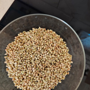 WhatsApp Image 2026-01-31 at 09.05.17