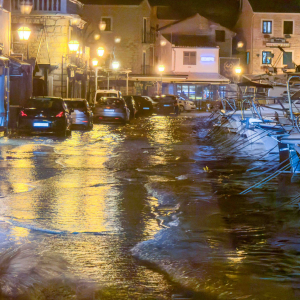 Plima jugo (5 of 12)