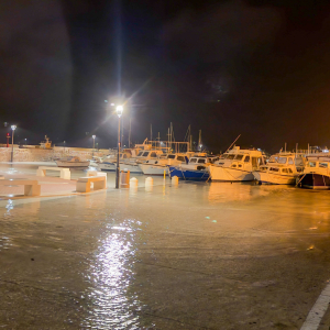 Plima jugo (7 of 12)