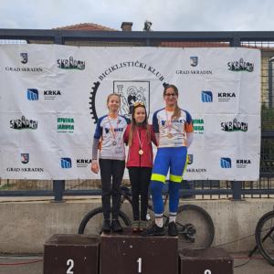 7d374b13-d98e-4134-ae7a-fd98b684963e