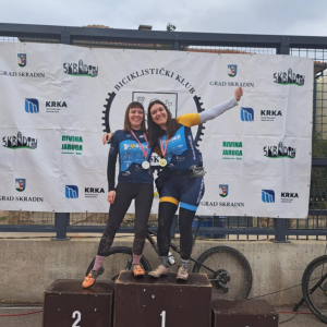 d696f9cc-2dd2-469d-8b8f-225136bc87ff