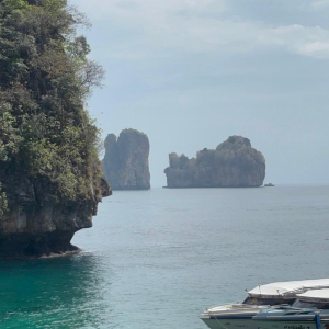 WhatsApp Image 2026-02-17 at 17.39.50 (16)