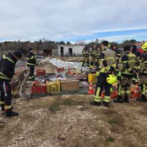 WhatsApp Image 2026-02-19 at 13.18.55 (3)