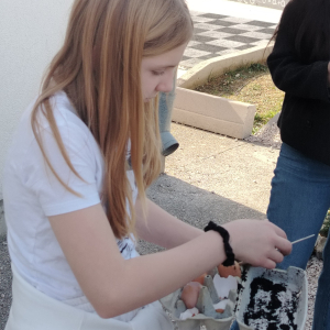 641635506_919099487298017_6144583627173456177_n