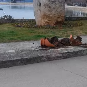 2026-03-02 13_40_43-Mailbird