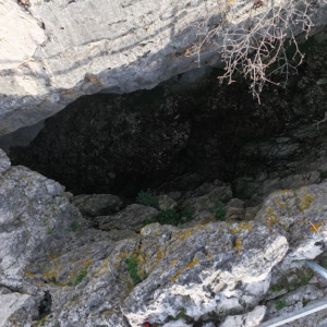 DJI_20260220181418_0003_D_1