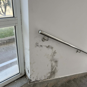 WhatsApp Image 2026-03-10 at 14.56.01