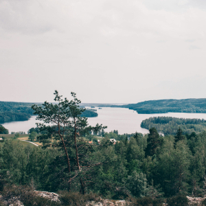 dalsland