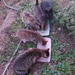 WhatsApp Image 2026-04-22 at 15.33.27