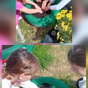 098f54de-2932-487e-b6fb-9e76d5be3bc5 Custom