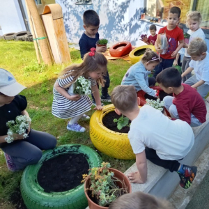 IMG_20260420_101219 Custom