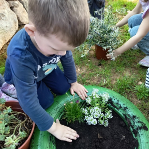 IMG_20260420_101331 Custom