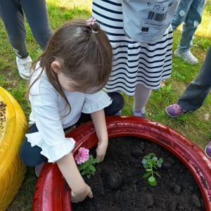 IMG_20260420_101553 Custom