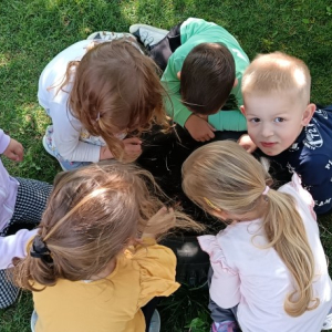 IMG_20260420_103704 Custom