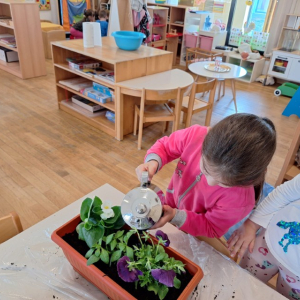 IMG-20260420-WA0024 Custom