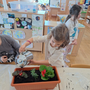 IMG-20260420-WA0025 Custom