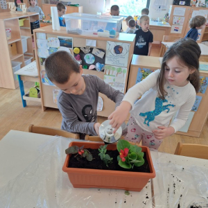 IMG-20260420-WA0026 Custom