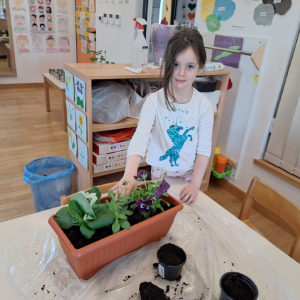 IMG-20260420-WA0029 Custom