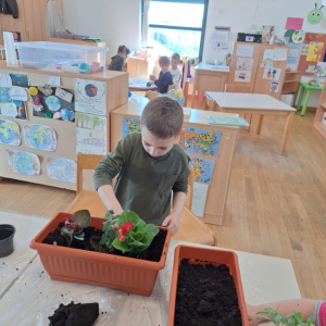 IMG-20260420-WA0033 Custom