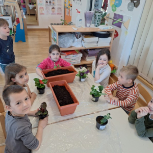 IMG-20260420-WA0036 Custom