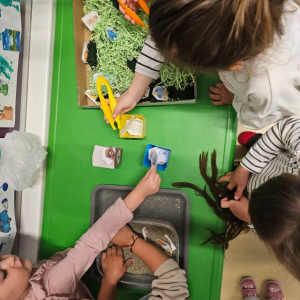 IMG-20260422-WA0013 Custom