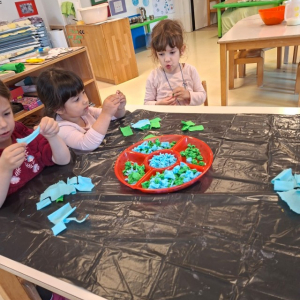 IMG-20260422-WA0025 Custom