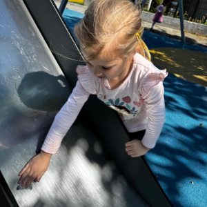 IMG-20260422-WA0031 Custom