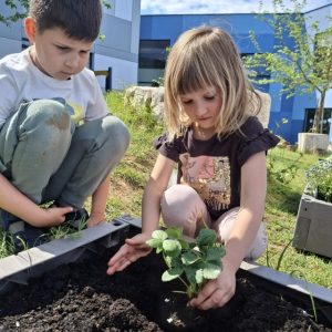 PHOTO-2026-04-21-19-46-04 3 Custom