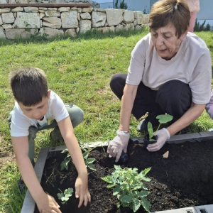 PHOTO-2026-04-21-19-46-04 Custom