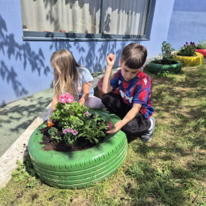 PHOTO-2026-04-21-19-46-07 1 Custom