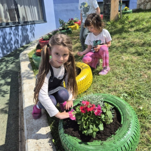 PHOTO-2026-04-21-19-46-07 3 Custom