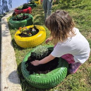 PHOTO-2026-04-21-19-46-07 4 Custom