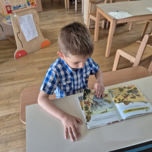 PHOTO-2026-04-21-19-47-53 3 Custom